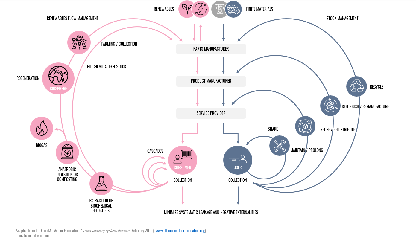Technical and biological cycles of circular economy