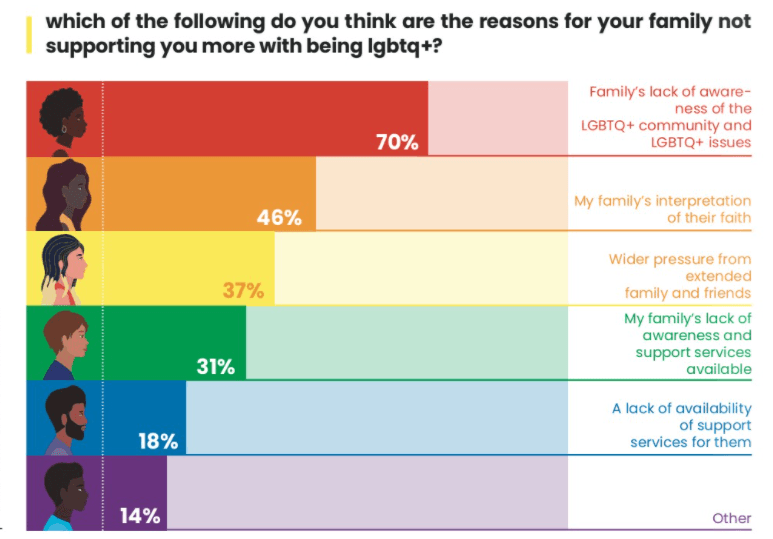 Family support and LGBTQ+ young
